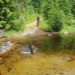 Es gibt auch eine Brücke, aber so geht es auch