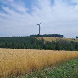 Wish i was wind powered too