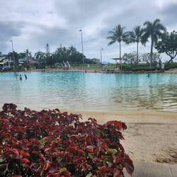 Blue Lagoon at Airlie beach