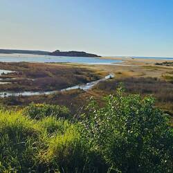 Lake Tyers