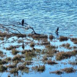 Lake Tyers