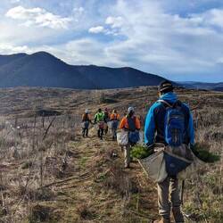 Replanting nun mit Säcken anstatt Kisten
