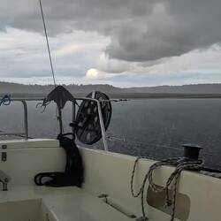 Downpour ☔⛈️