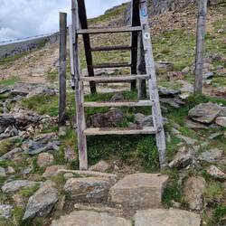 Ladder stile on South route in need of some repair