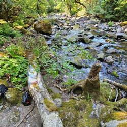 I stop at this wonderful stream for one more night in this incredible nature