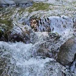 And the river flows and flows, like my feelings