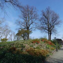 Brühlscher Garten