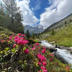 Blick vom Pedertal Richtung Martelltal
