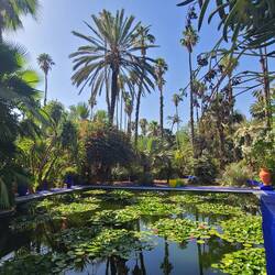 I loved this area. Between birds chirping, cool breeze, you were captivated by it all.