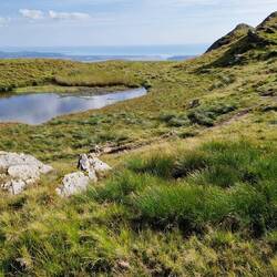 Pool I pitched beside