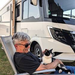 Besuch der Hauskatze