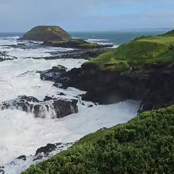 Blowhole