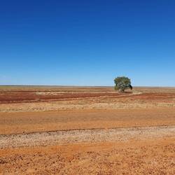 The land we went through was super flat from horizon to horizon.