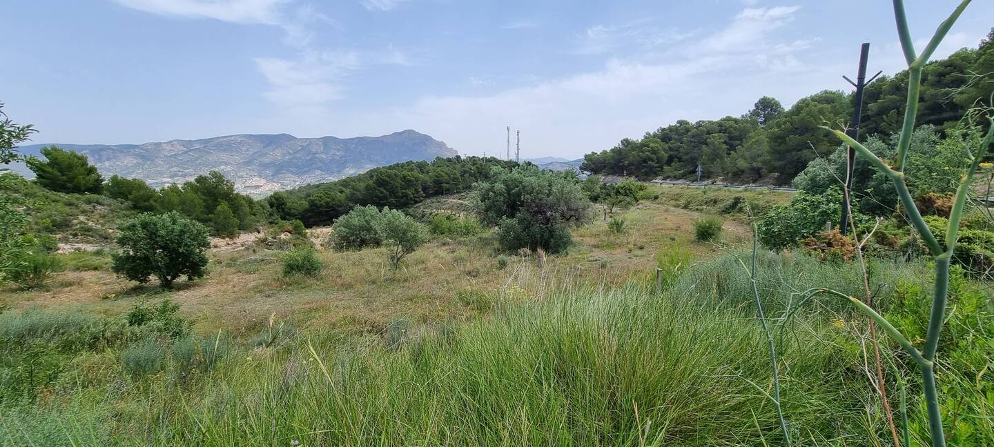 Fahrt durchs spanische Hinterland, durch unzählige Kreisel und über hohe Berge von 700 Meter 😉