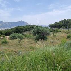 Fahrt durchs spanische Hinterland, durch unzählige Kreisel und über hohe Berge von 700 Meter 😉