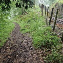 Start of my walk down hill from Plas Halt railway station