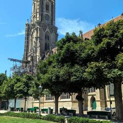 Blick von der Münsterplattform