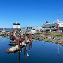 Insignia and Norwegian Sun docked at Ogden Point — Victoria, BC-Canada.