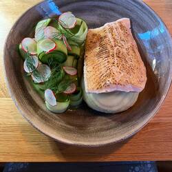 Delicious trout filet