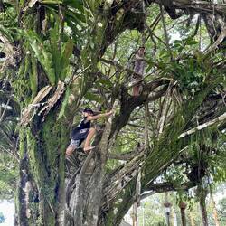 Got out for a few hours and climbed the tree