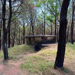 Bunker