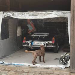 Stilvoll Eis essen fahren