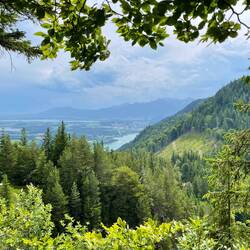 Ausblick auf den sogenannten "Schlosspark"