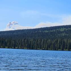 Waldbrand in der Nähe