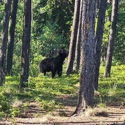 Was riecht denn hier so gut?