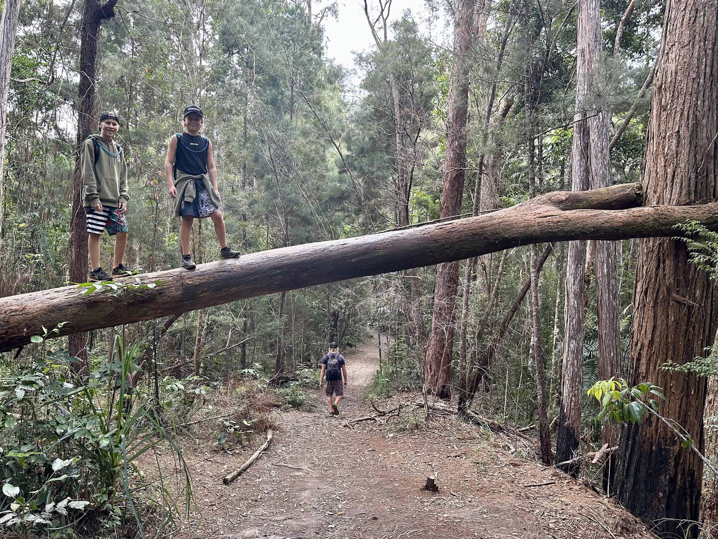 Always climbing