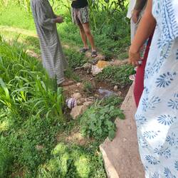 This is their irrigation method. Each family has a section to farm & they route water from main line