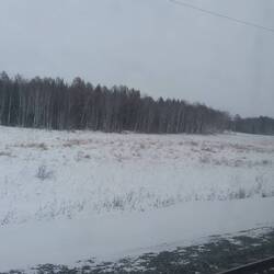 Blick aus dem Fenster