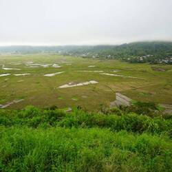 Spiderweb rice fields