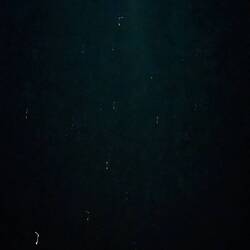 An attempt to capture night sky. I saw a falling star & enjoyed the vastness of the sky.