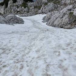 Noch einige Schneefelder bis zum Ingolstädter Haus zu überwinden