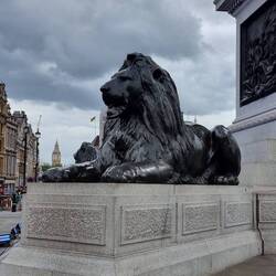 Kids and tourists are no longer able to climb on the Trafalgar Square lions
