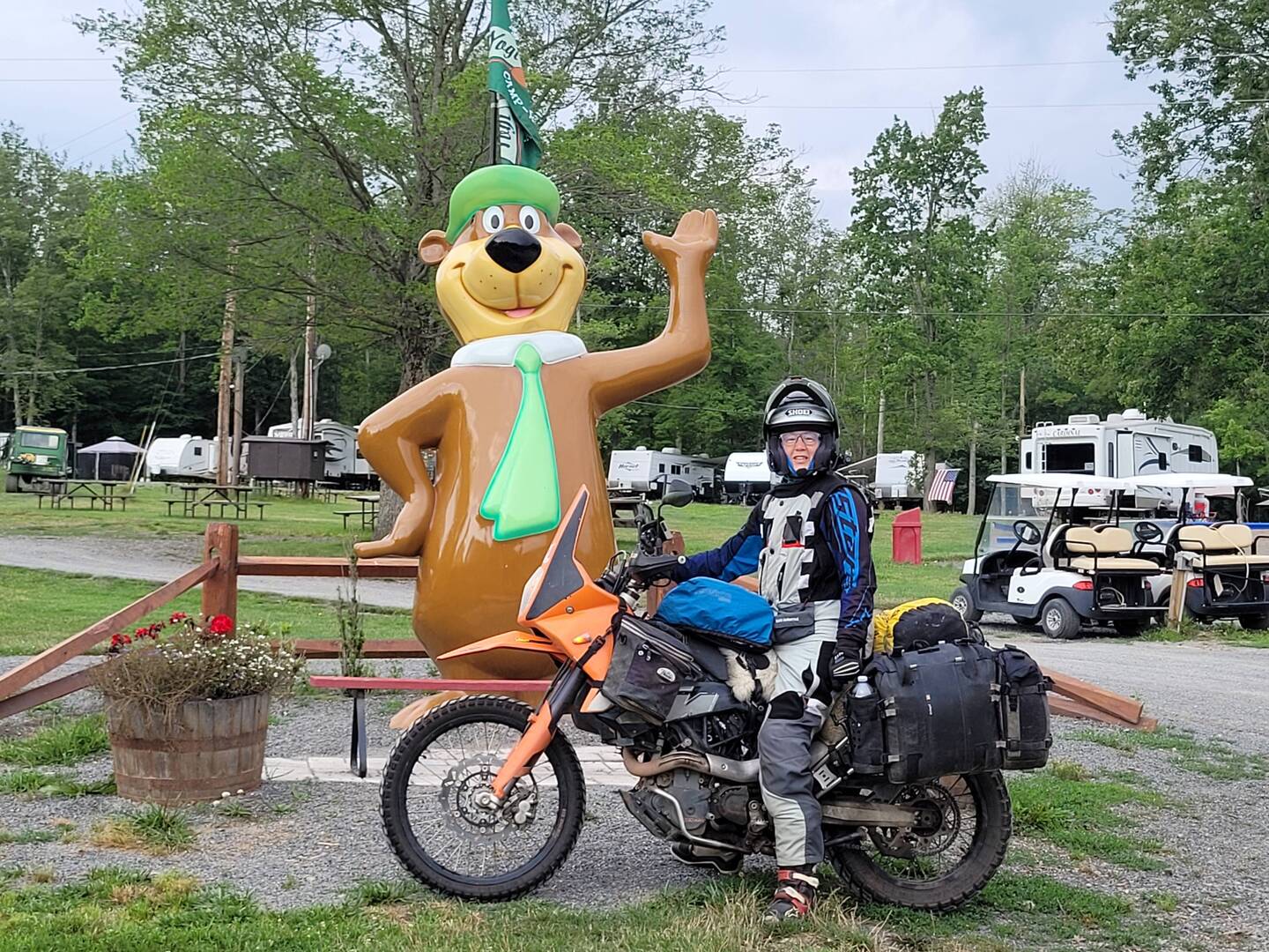 Zelten mit Yogi🐻