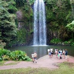 Millaa Millaa Falls