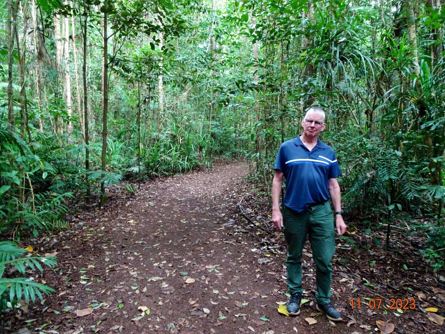 Walk into Cathedral Fig Tree, Danbulla National Park