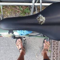 Volltreffer, so ein Scheiss💩