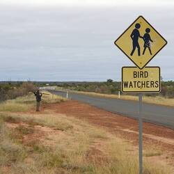 A fine adult male individual in his native habitat