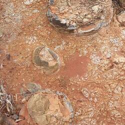 Interesting nodular rock formations on the road out of Currawinya