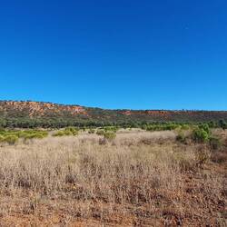 Part of the Gowan range, Adavale to Blackall Road, SE of Idalia NP