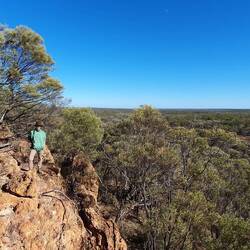 Sal where we saw the Yellow-footed rock-wallabies