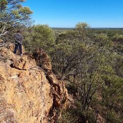 Martin on the escarpment