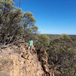 Sal on the escarpment