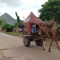 Den Gipfel mit dem Savitri-Mata-Tempel wollen wir morgen früh erklimmen (Seilbahn ist leider defekt)
