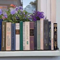 Die etwas anderen Blumenkisten der Bibliothek