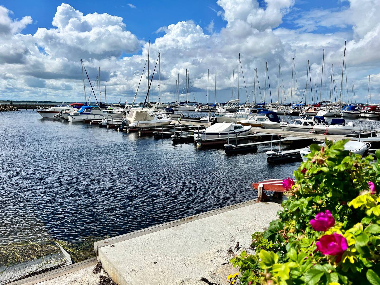 Marina Gjøl