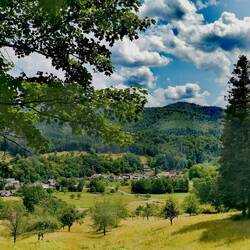 Lovely Black Forest landscape!